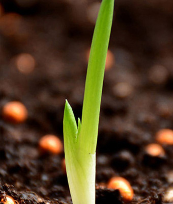 關于賽菲克新材料